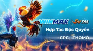 bannerads 06