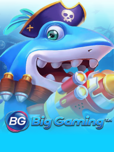 provider bg 1