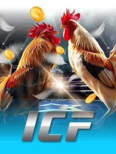 provider icf