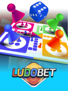provider ludo