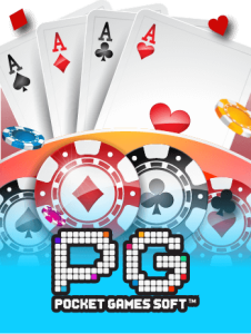 provider pg 1