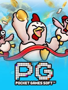 provider pg 2