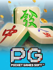 provider pg