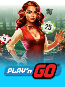 provider playngo 1