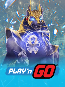 provider playngo