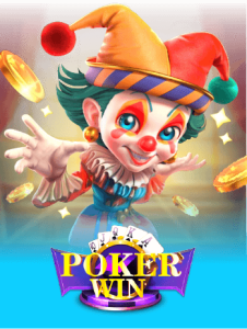 provider pokerwin