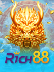 provider rich88