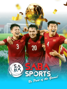provider saba