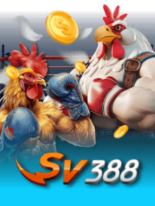 provider sv388