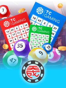 provider tcglottovn